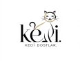 Kedi Dostlar